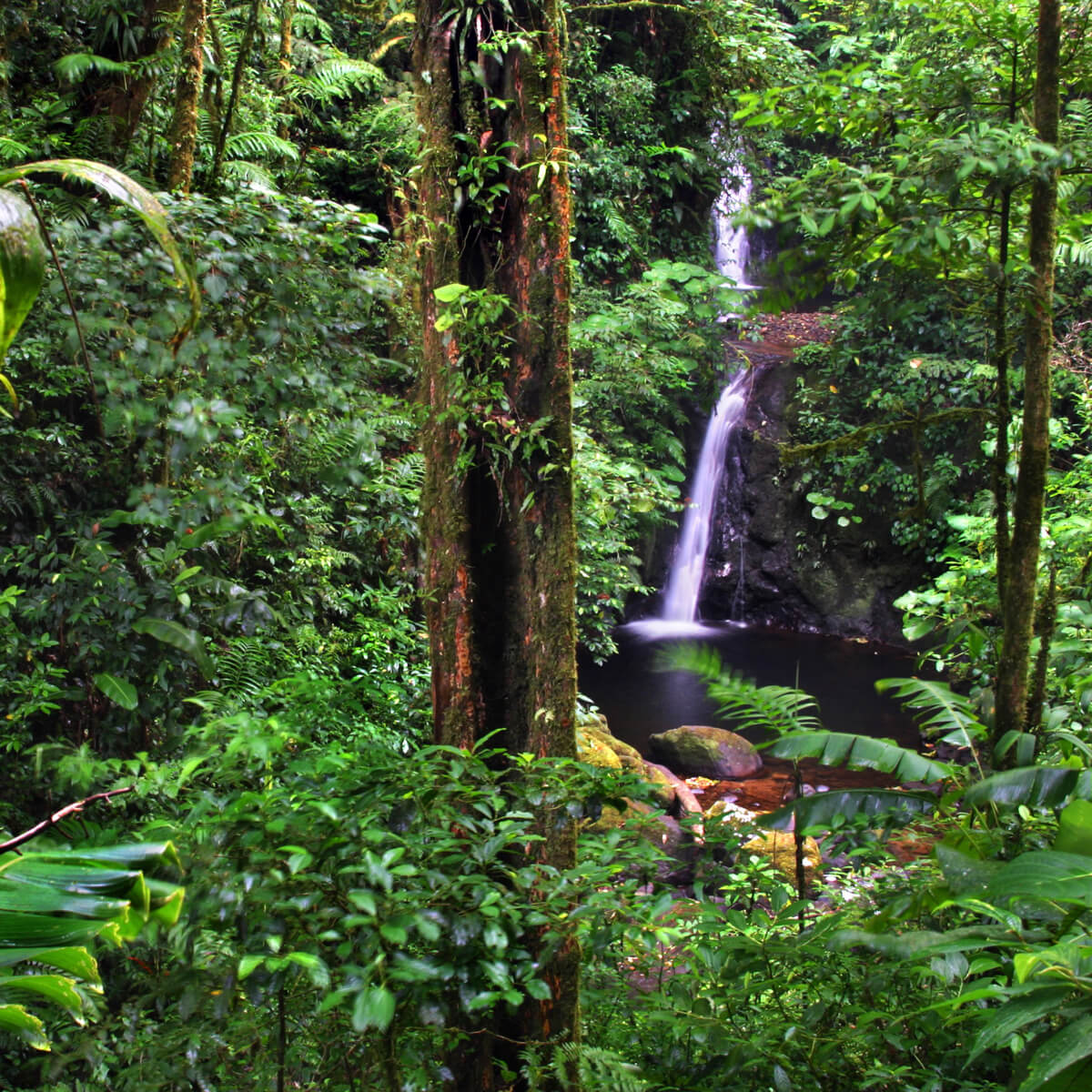 Why Monteverde, Costa Rica